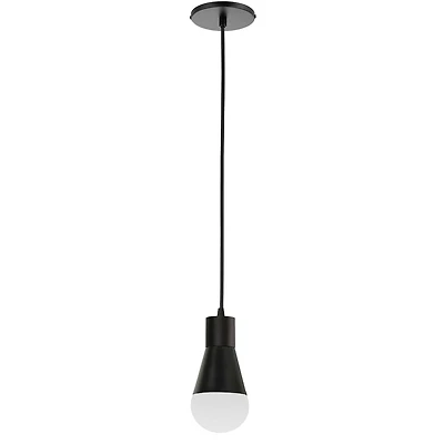 Luminaire suspendu Fortuna à 1 lumière, noir mat
