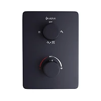 Square 3-functions thermostatic valve. handheld handshower and shower head, or simultaneously,  matte black finish
