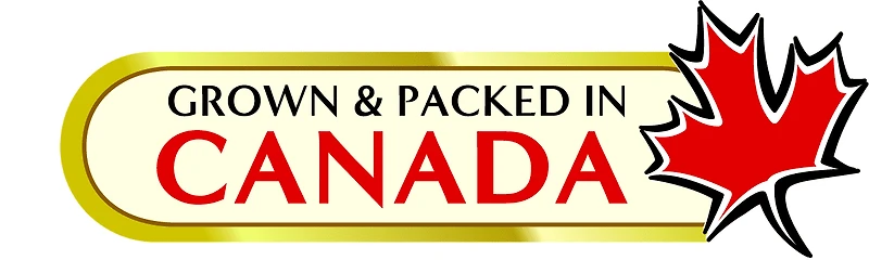 Green Giant Canned Cream Style Corn, Grown and packed in Canada, 540ml, 19 fl oz