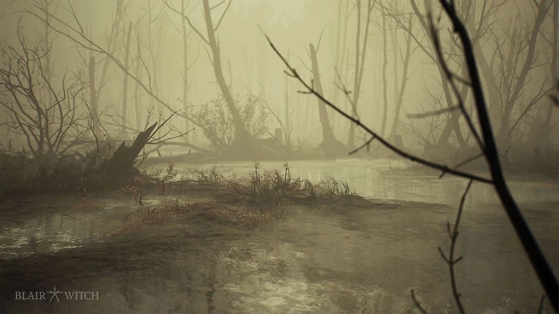 Jeu vidéo Blair Witch pour (PlayStation 4) PlayStation 4