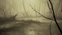Jeu vidéo Blair Witch pour (PlayStation 4) PlayStation 4