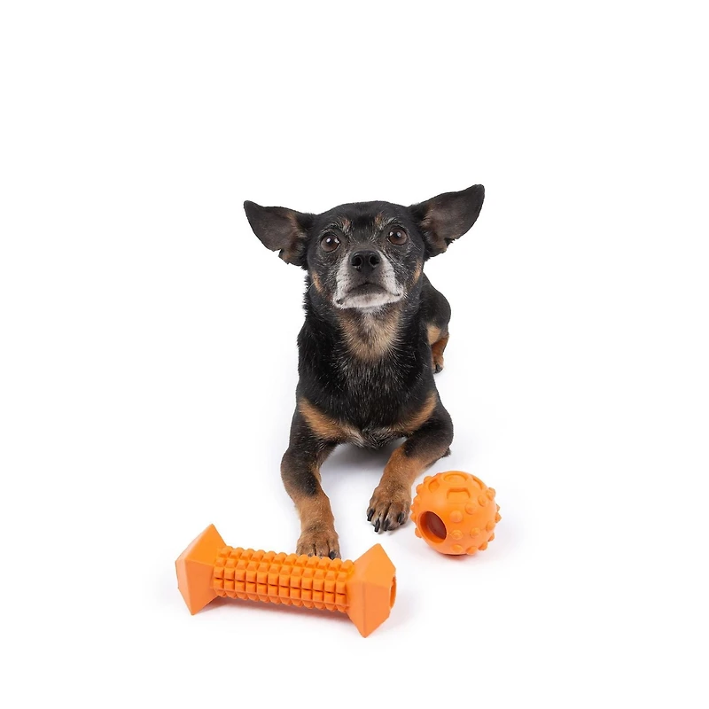 One Paw, 2 Pack Rubber Chew Dog Toy, Small, Treat Dispenser, Chew for Dog Toy