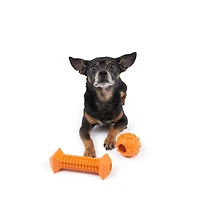 One Paw, 2 Pack Rubber Chew Dog Toy, Small, Treat Dispenser, Chew for Dog Toy