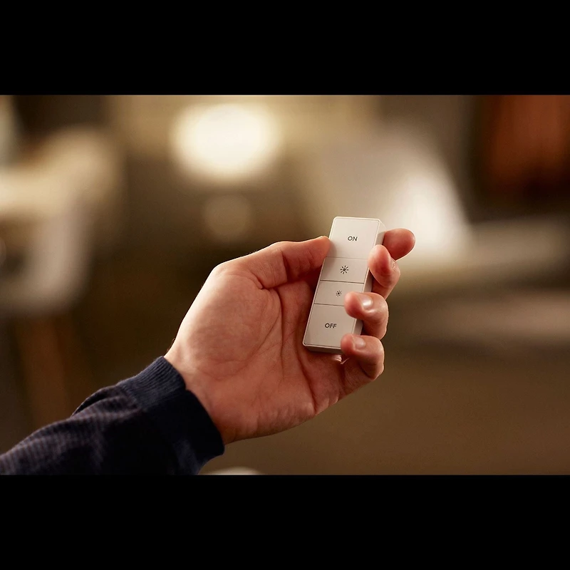 Ensemble de gradation blanc sans fil de Philips Hue