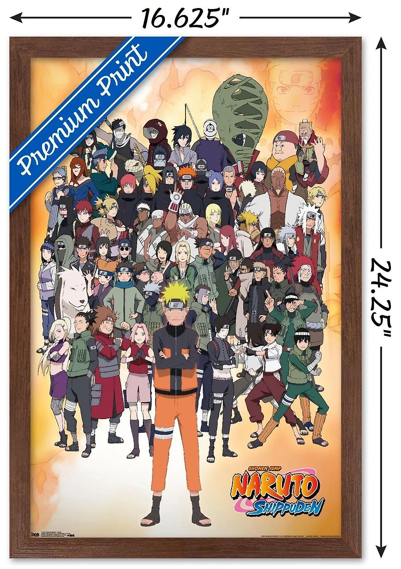 Naruto Shippuden - Groupe