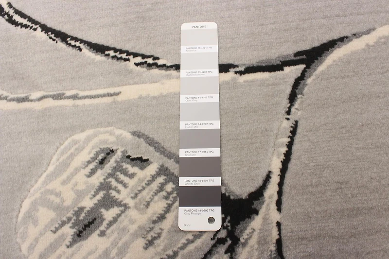 Tapis ECARPET Moderne pour Salle à Manger, Salon, Chambre Prima Gris