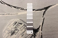 Tapis ECARPET Moderne pour Salle à Manger, Salon, Chambre Prima Gris