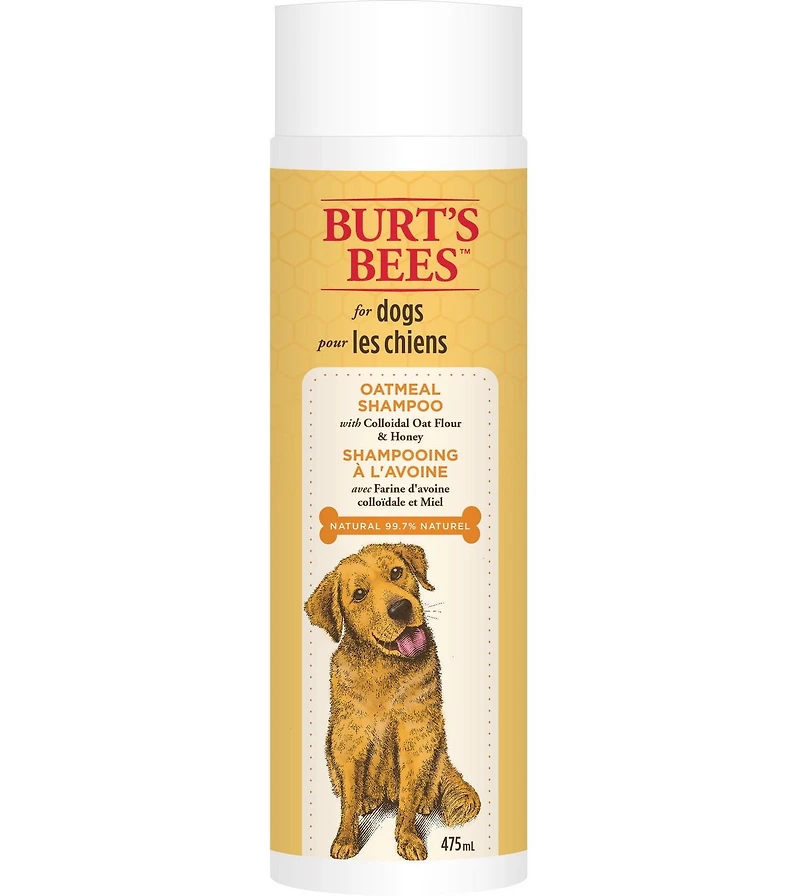Shampoing à l'avoine de Burt's Bees avec farine d'avoine colloïdale et miel pour chiens 475 ml