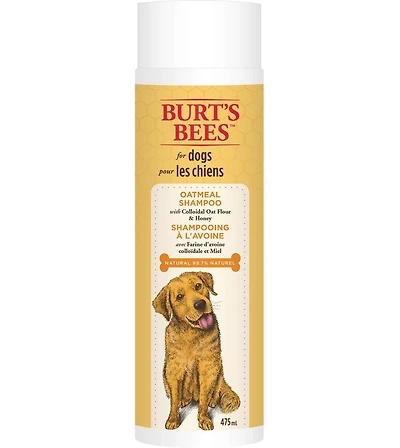 Shampoing à l'avoine de Burt's Bees avec farine d'avoine colloïdale et miel pour chiens 475 ml