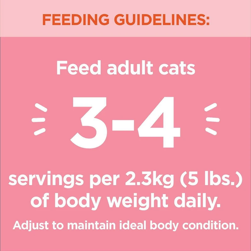 Nourriture humide sans céréales pour chats IAMS Perfect Portions Healthy Adult Pâté recette au saumon 75g