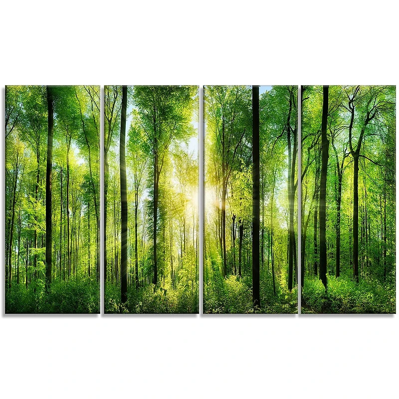 Design Art Forest with Rays of Sun Panorama Landscape Canvas Print