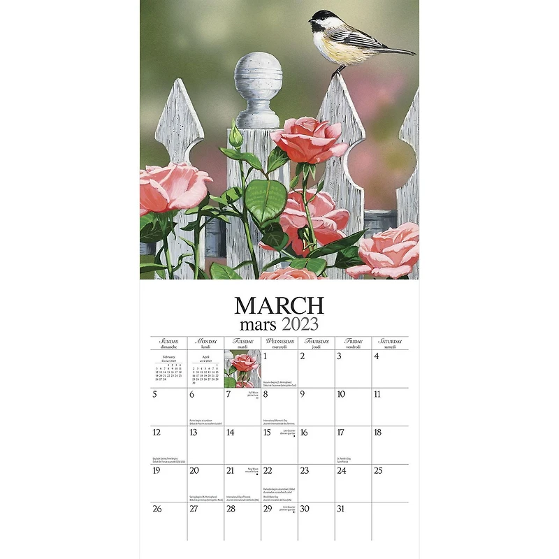 Feathered Friends Amis a plumes 2023 Square Hopper