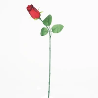 Way to Celebrate Single Red Forever Rose