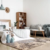 ECARPET Tapis Frise Modern pour Salon, Chambre à Coucher, Collection Minka Ultra Douce et Pelucheuse