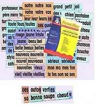 Poster Pals French Adjective Cards and Reproducible Book