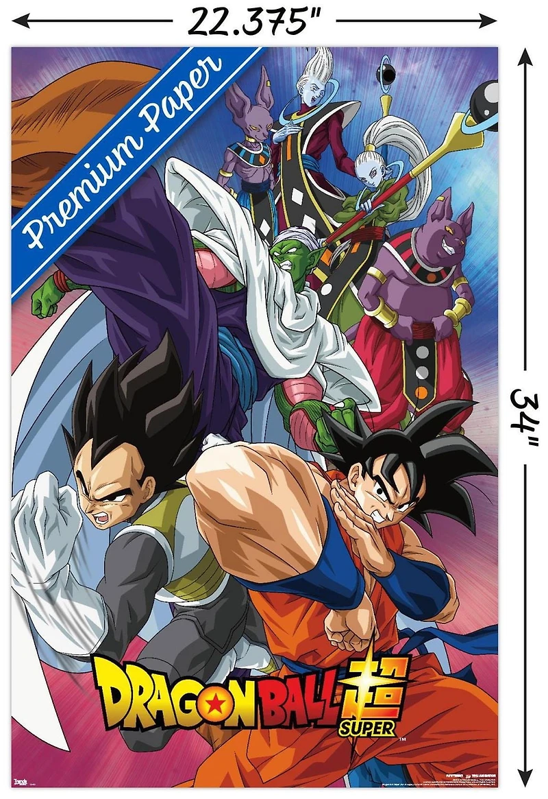 Dragon Ball: Super - Group Wall Poster, 14.725" x 22.375"