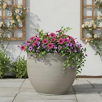 Jardinière en Résine Mainstays 15,5 pouces, Gris Bouleau