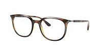 0RX7190201253 - FRENCH
