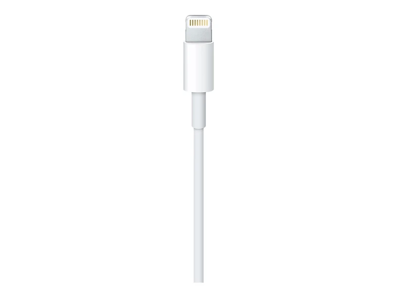 Câble Lightning vers USB Apple (1 m)