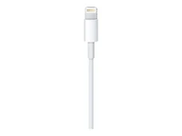 Câble Lightning vers USB Apple (1 m)