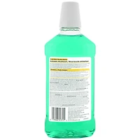 Equate Fresh Mint Antiseptic Mouthwash, 1 L