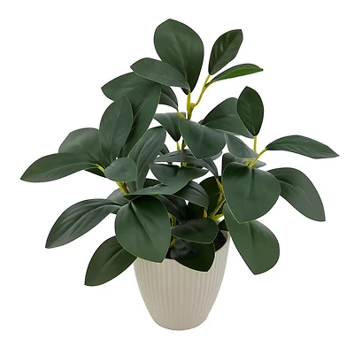 Plante artificielle d'intérieur en pot Mainstays de 27.9cm, Peperomia verte. Baby rubberplant en pot