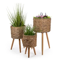 Truu Design Decorative Cattail Planter Set with Wooden Legs