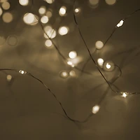 Holiday Time 100 Microdot Battery Operated LED String Light, Warm White, 100 MICRODOT B/O LED STRING LIGHT