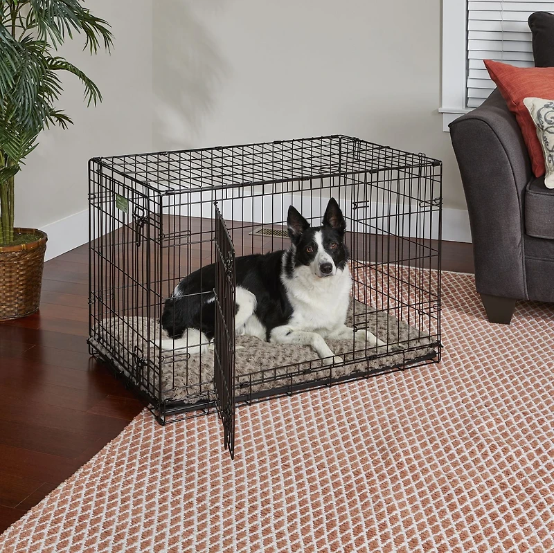 Cage pour chiens deux portes 36po