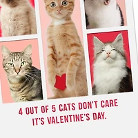 Hallmark Shoebox Pack of 4 Funny Valentine's Day Cards (Cats Don’t Care)