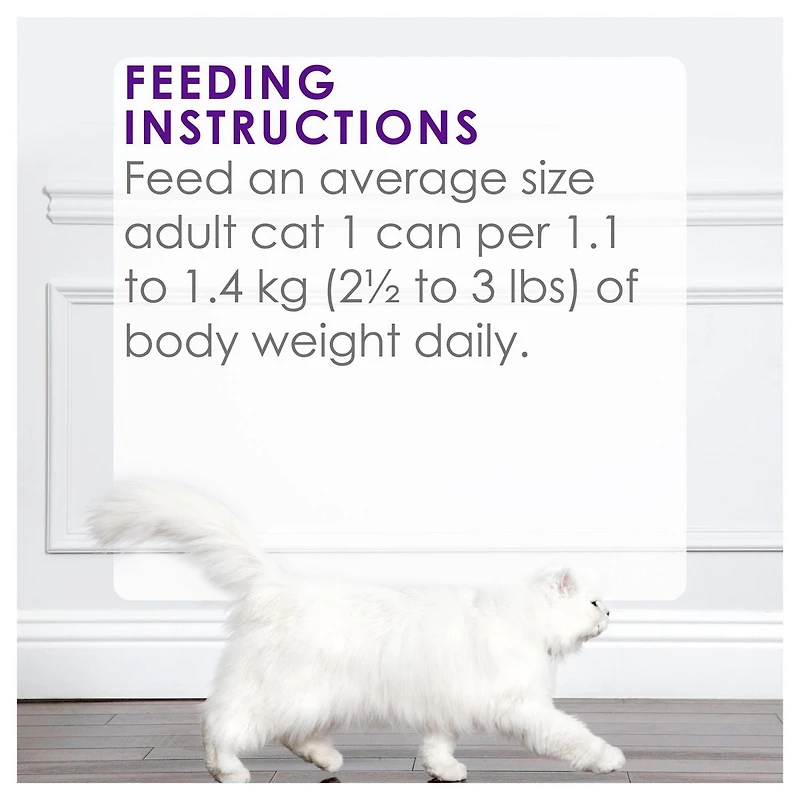 Fancy Feast Delights Grilled Turkey & Cheddar Cheese in Gravy, Wet Cat Food 85g, 85g