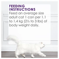 Fancy Feast Delights Grilled Turkey & Cheddar Cheese in Gravy, Wet Cat Food 85g, 85g