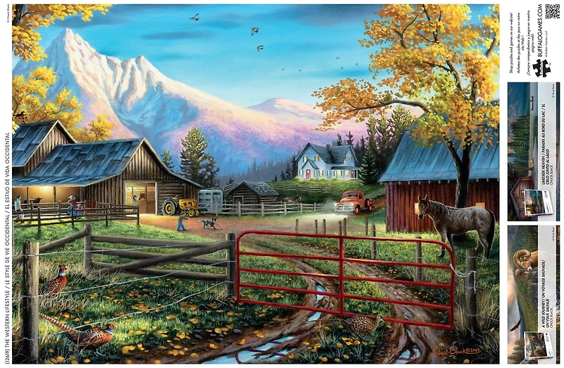 1000 COUNTRY ASRT - FRENCH