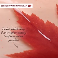 Garnier Whole Blends Soins Sans Rinçage Remède Huile de Ricin, 200 mL