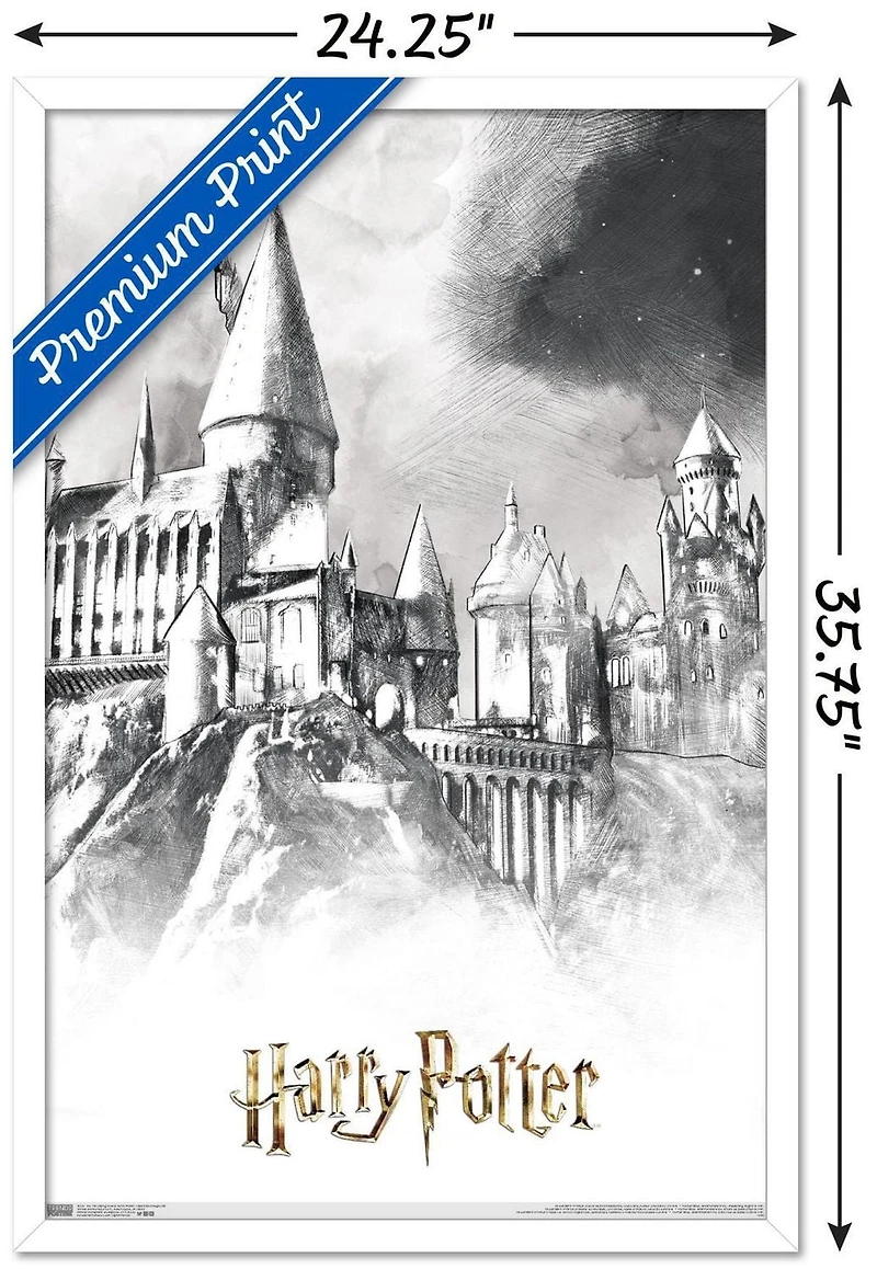 Le monde des sorciers : Harry Potter - Poudlard illustré
