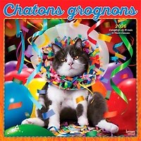 Avanti Chatons grognons 2026 Square FRENCH BTCA