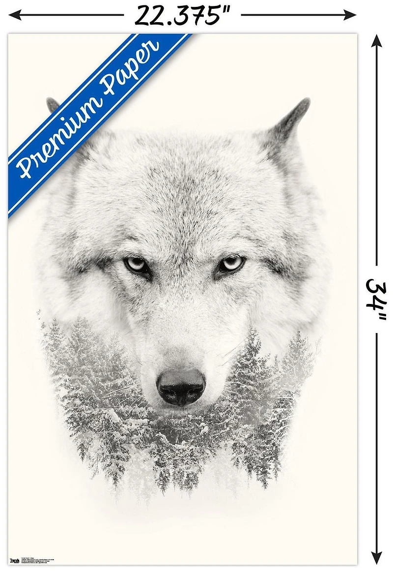 Loup