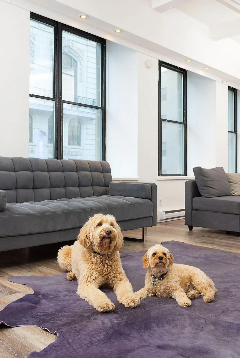 H-Natural 6'X7' Geneva Cowhide Rug