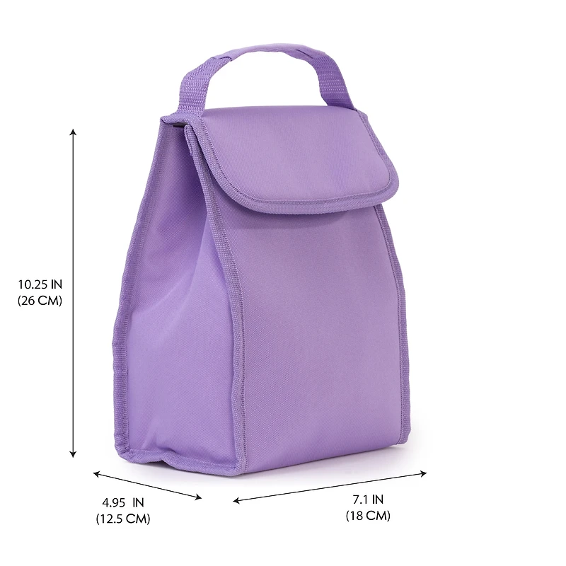 Assorted Foldable Insulated Lunch Bags for Kids, Lunch Box for School, School Lunch Bag