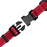 Collier en sangle One Paw pour chiens, plusieurs couleurs et tailles Chien