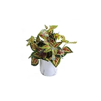 Lerman Decor's Artificial plant, Artificial plant in Marble pot