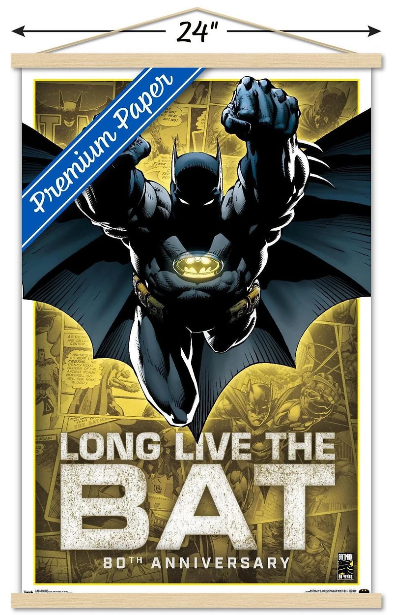 DC Comics - Batman - 80th Anniversary Wall Poster, 22.375" x 34"