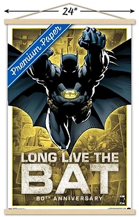 DC Comics - Batman - 80th Anniversary Wall Poster, 22.375" x 34"
