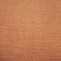 hometrends Solid Fringed Decorative Cushion