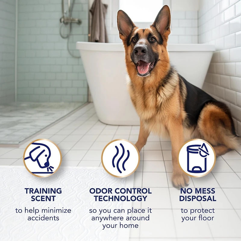 Scott Pet Guard Advanced Dog Pads - Dog Training Pee Pads for Large & Extra Large Dogs - Up to 16 Hour Absorbency with odour Control - Softest Quilted Dog Pee Pads - XXL - 36" x 36" - 40 Pack