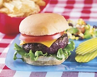 Hamilton Beach Panini & Grill