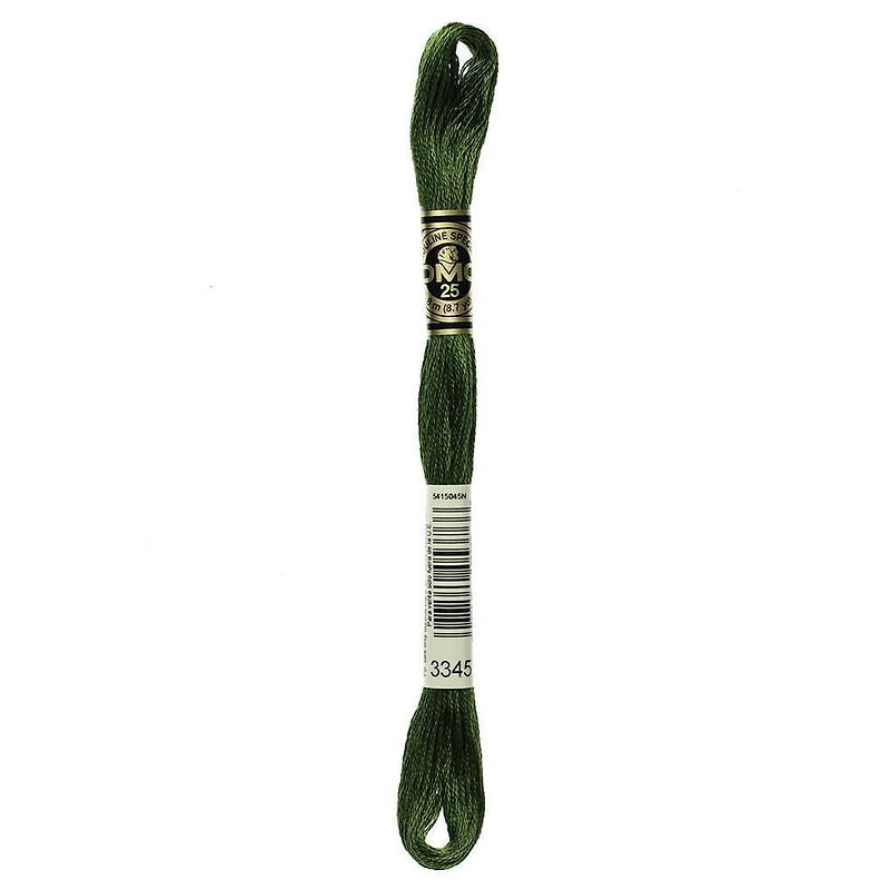 DMC Green Cotton 6 Strand Floss 8m