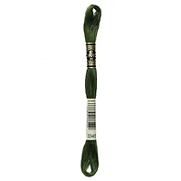 DMC Green Cotton 6 Strand Floss 8m