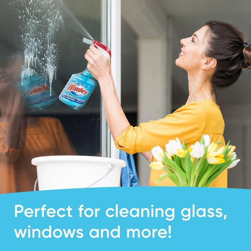 Windex® Glass Cleaner Refill, Original, 5L, Refill