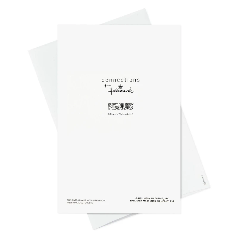 Boîte de 24 cartes de Noël Connections de Hallmark (La bande Peanuts fait du patin à glace)